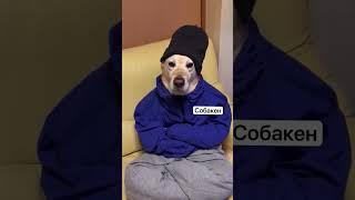 Стиль   это все 