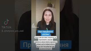 Рослини поштою.Саджанці поштою.Паеування рослин