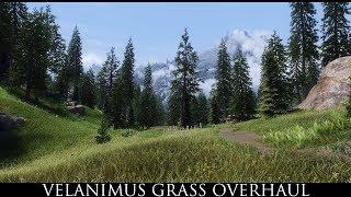 Skyrim SE Mods - Velanimus Grass Overhaul