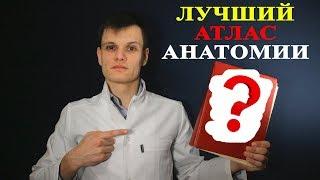 По каким УЧЕБНИКАМ учить АНАТОМИЮ человека?