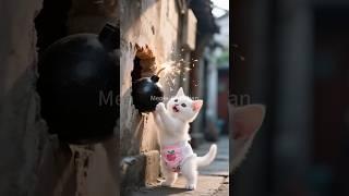 Kitten's Deadly Sausages: A Father's Sacrifice