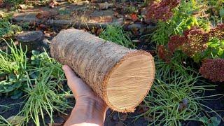 DIY Cherry Wooden Barrel | Cherry barrel | How to make a wooden barrel with your own hands