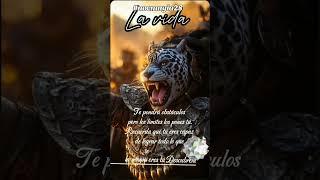 LA VIDA TÉ PONE OBSTÁCULOS TU PUEDES SUPERARLO @Noemagia28  SUSCRÍBETE MAGIA
