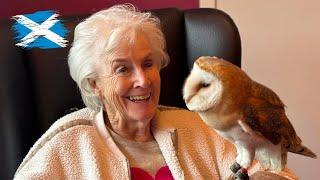 Join me as I travel to Scotland to visit 2 care homes with 5 of my birds of prey