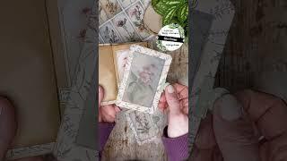 nature specimen mini book with gudrunshappyjournals.de paperkit