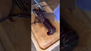 How to humanely break down a lobster #lobster #livelobster #seafood #cooking