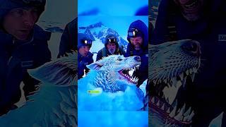 Mutants in Antarctica ️ #viralshort #viralvideo #memes #4u #foryou #aura #alien #mutants