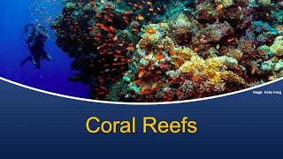 Marine Biology at Home 11: Coral Reefs