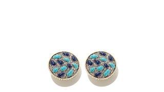 Heidi Daus "Jet Set" Pav Crystal Round Earrings