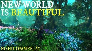 New World Aeternum is BEAUTIFUL | No HUD 2020 Beta Gameplay