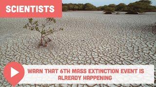 Scientists Warn That 6th Mass Extinction Event Is Already Happening