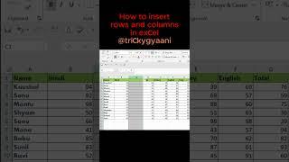 Inserting Rows and Columns in Excel #shorts #excel #exceltutorial#viralshorts#trending