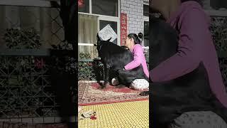 This dog is creating the new generation 770