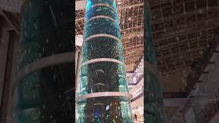 Aquarium Moscow, Самый большой Аквариум в Москве