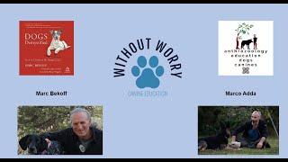 Without Worry Canine Education present Marc Bekoff and Marco Adda