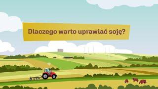 Dlaczego warto uprawiać soję?