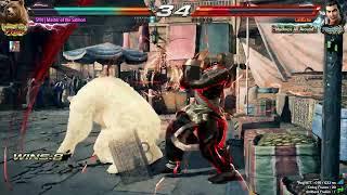 Nasty Bear Wall Tech