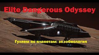 Elite Dangerous Odyssey. Гуляем по планетам. Исследования