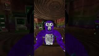Meaning behind SS #gorillatag #gorillatagquest #vr #funny #fyp #fypシ゚viral