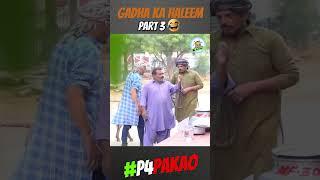 GADHA KA HALEEM PART 2
