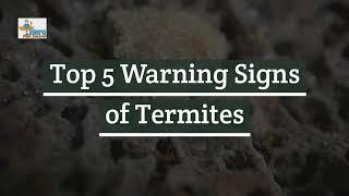 Top 5 Warning Signs of Termites | Hero Pest Control | Waco, TX