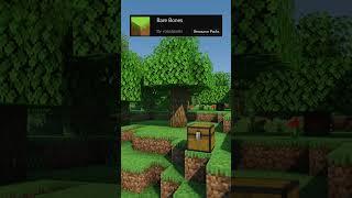 texturepacks - minecraft