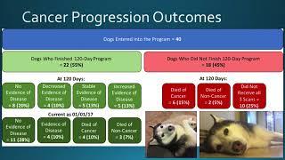 Epigenix Foundation: An Update on the Effects of Ketogenic Diets in Canine and Human Studies