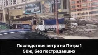 Дерево упало на газель на Петра первого  ТУТ ДАГЕСТАН