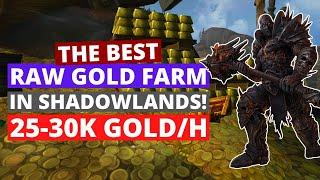 The Best Raw Gold Farm in Shadowlands! 25-30k raw gold/h | Wow Shadowlands Gold Farming Guide