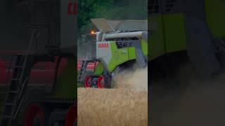 Claas 660 Trion #agriculture #farming #claas