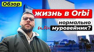 Объективный Обзор Orbi: Цены, плюсы-минусы, доходность!