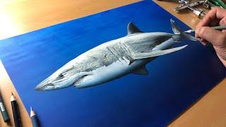 Great White Shark Drawing - Timelapse | Artology