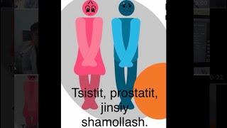 Tsistit, prostatit va jinsiy shamollashlarni uy sharoyitida davolash.  Цистит, простатитни уйда даво