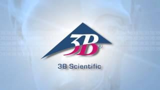 3B Scientific