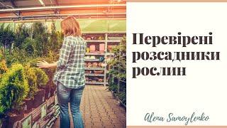 Де купувати рослини для саду?  Перевірені Розсадники та Садові Центри.