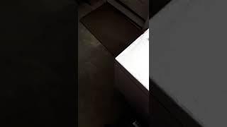 The Flu Flu