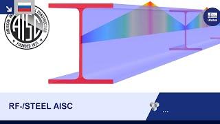 Программы Dlubal RFEM 5 & RSTAB 8 - Дополнительные модули: RF-/STEEL AISC