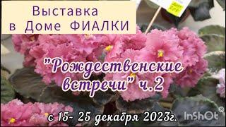 Фиалки -2023. Часть 2 Выставка с 15.12 - 25.12.23 г. "Рождественские встречи"  в Доме Фиалки #фиалки