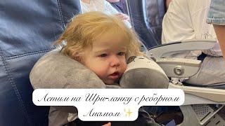 Летим на Шри-Ланку с реборном Лиамом ️ Flying to Sri Lanka with reborn Liam️#реборн #vlog