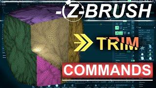 ZBrush - TRIM Brushes (In 60 SECONDS!!)