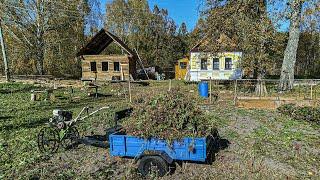 Начинаем готовить хутор к зиме. Огородные дела и отдых от стройки