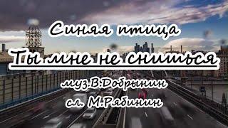 Cиняя птица -Ты мне не снишься -караоке(без бэка)