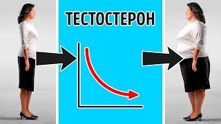 9 Гормонов, Стимулирующих Набор Веса, и Как Этого Избежать