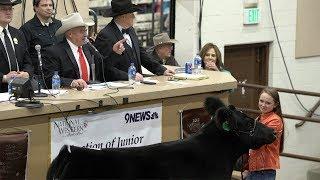 John Korrey, Auctioneer calls the Junior Livestock Champions auction