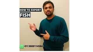 How To Export Fish l Simon Raks #exportimport #fish #india