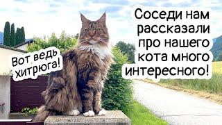 Тайная жизнь кота Арчи. Разговор с соседями, ну и котик!