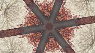 #Футаж старинный фрактал ◄4K•HD► #Footage vintage fractal