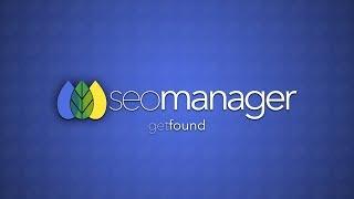 SEO Manager