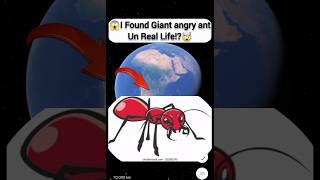 I Found Giant angry ant In Real life!?On Google Earth Universal S2z#maps #earth #viralvideo