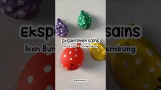 Eksperimen Sains Ikan Buntal Menggembung #youtubeshorts #idebermain #diy #eksperimensains